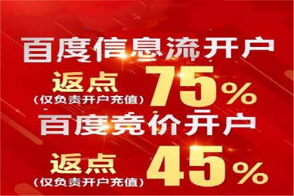百度竞价赚钱案例：从零到月入过万